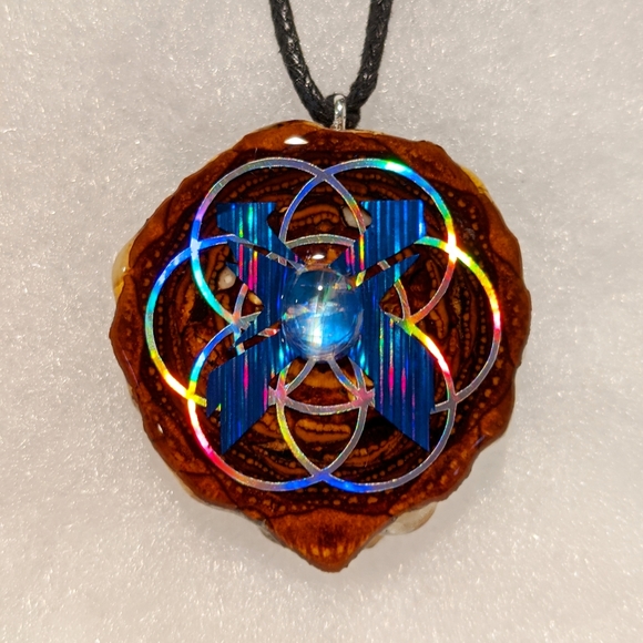 Pineal pinecone - Picture 7 of 13